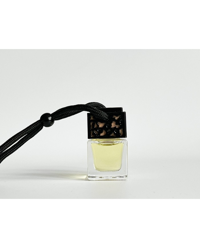 Car diffuser